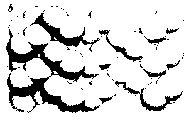pic19.gif (1868 bytes)